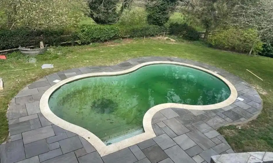 Curvy kidney-shaped outdoor swimming pool with greenish water, surrounded by gray stone tiles, set in a grassy yard with trees and bushes in the background.